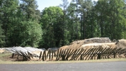 PICTURES/Petersburg Battlefield - Petersburg, VA/t_Confederate Battery Eight2.jpg